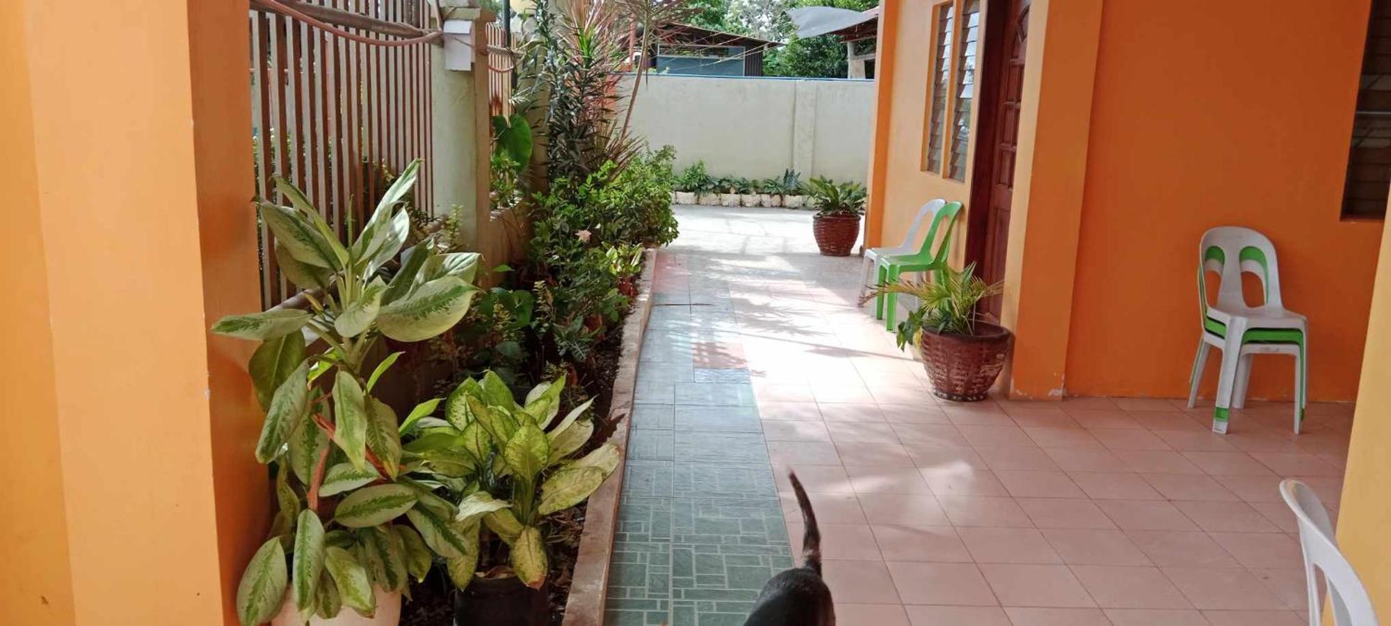 Jessa'S 5 Guests House Hotel Moalboal Exterior foto